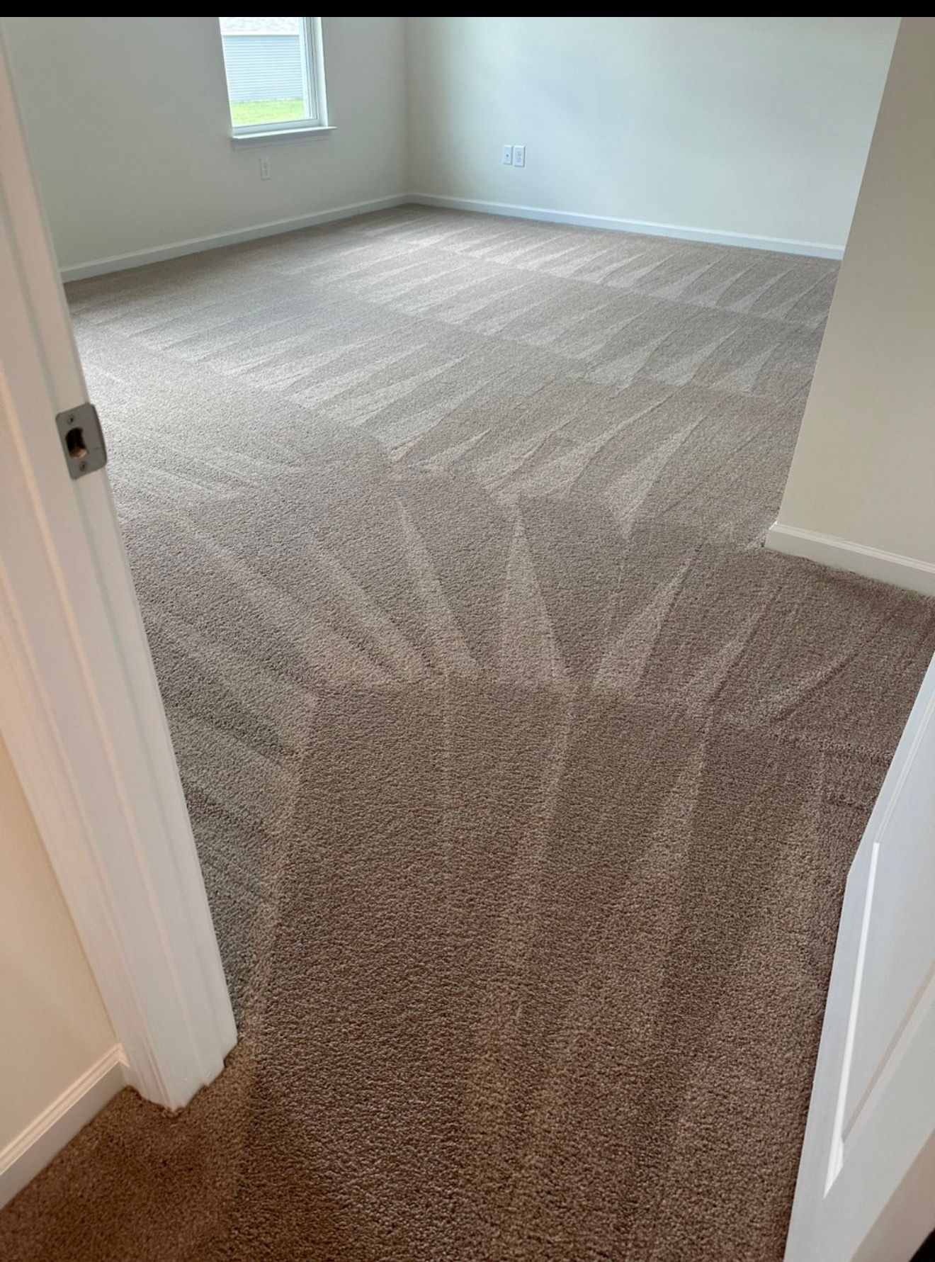 Clean carpet result