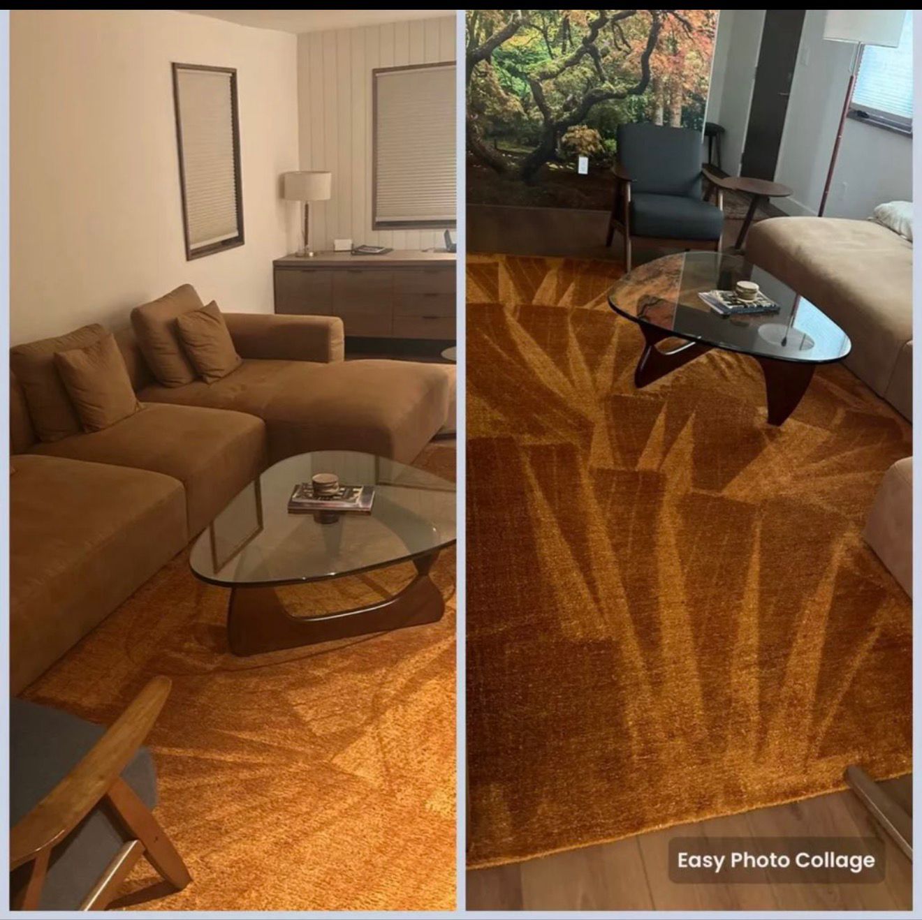 Before and after living room carpet cleaning