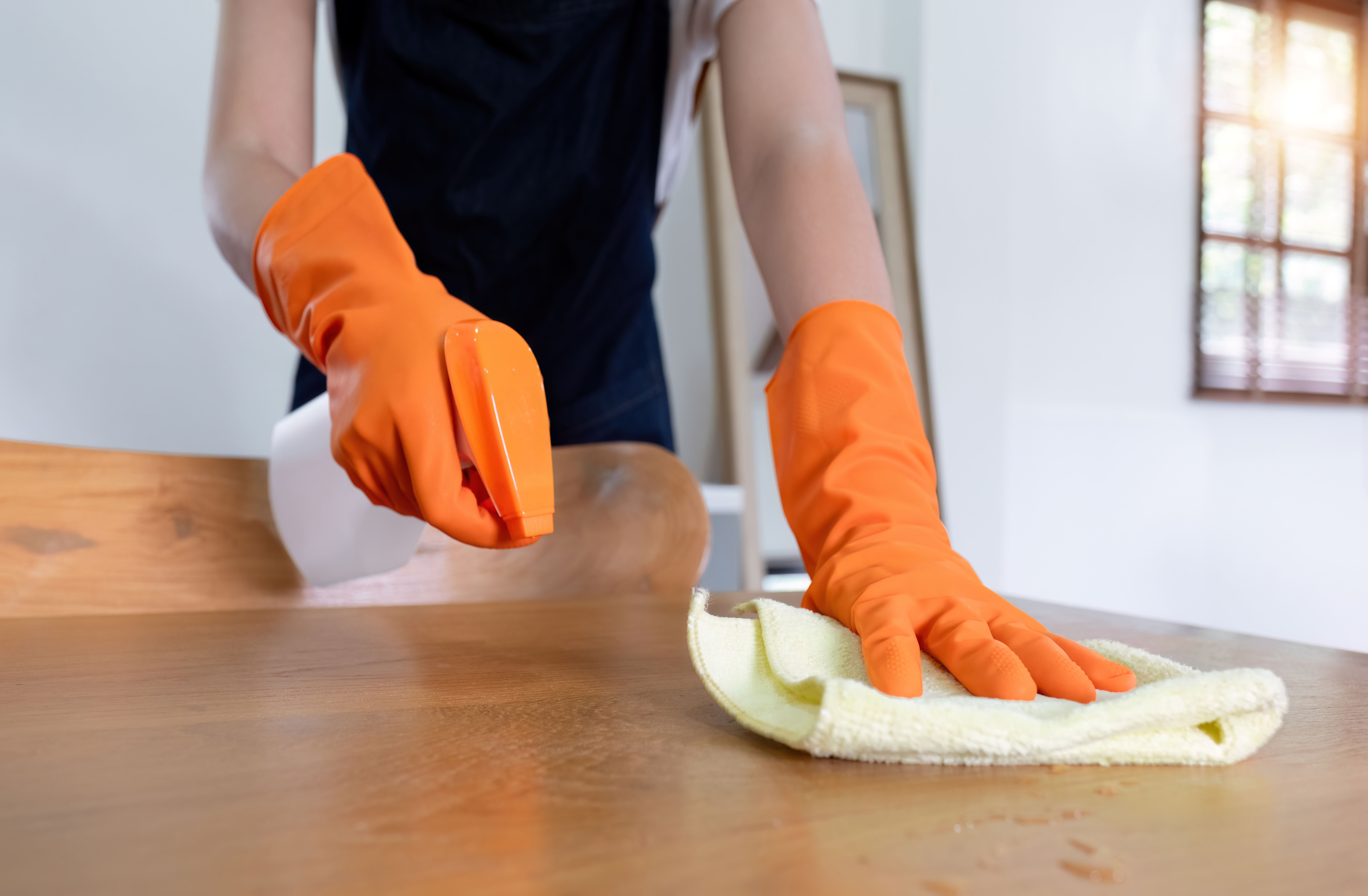 Standard cleaning service