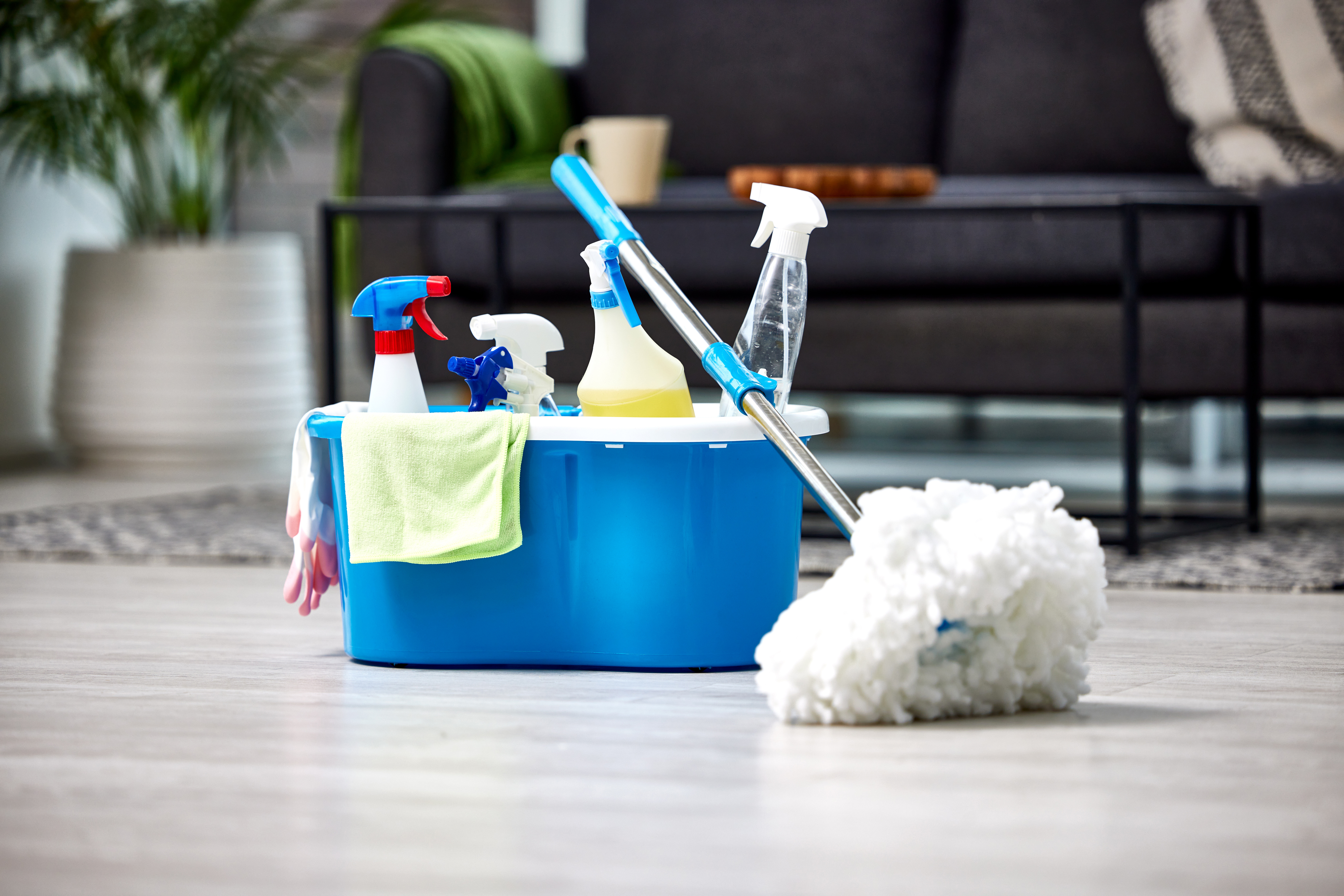 Move in and move out cleaning